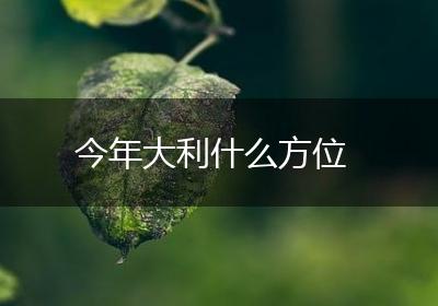 今年大利什么方位