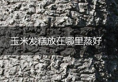 玉米发糕放在哪里蒸好