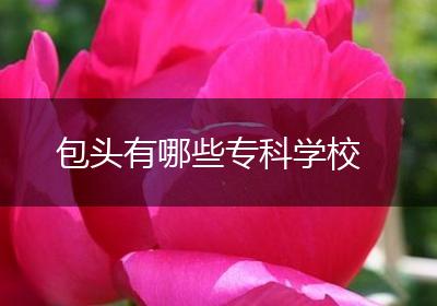 包头有哪些专科学校