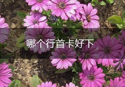 哪个行首卡好下