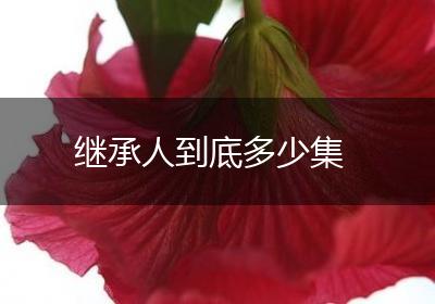 继承人到底多少集