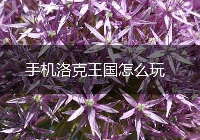 手机洛克王国怎么玩