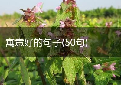 寓意好的句子(50句)
