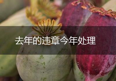 去年的违章今年处理