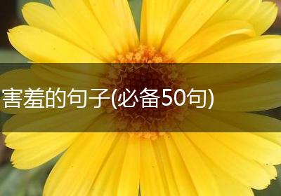 害羞的句子(必备50句)