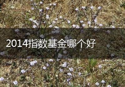 2014指数基金哪个好