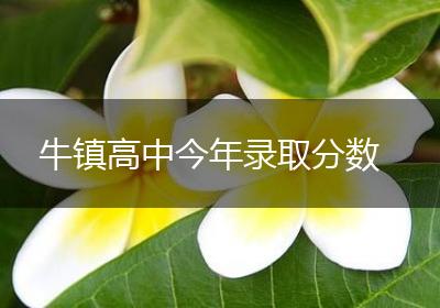 牛镇高中今年录取分数