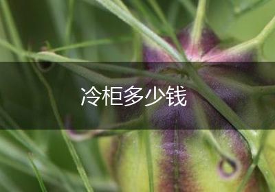 冷柜多少钱