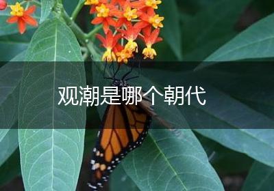 观潮是哪个朝代