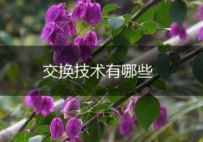交换技术有哪些