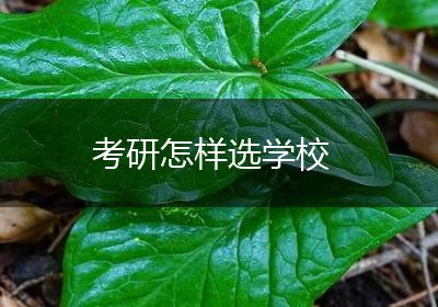 考研怎样选学校