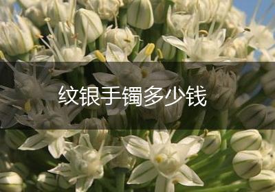 纹银手镯多少钱
