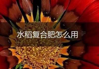 水稻复合肥怎么用