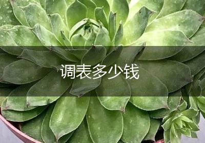 调表多少钱