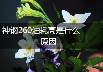 神钢260油耗高是什么原因