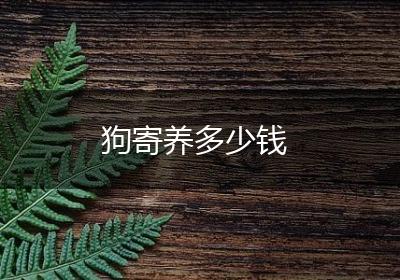 狗寄养多少钱