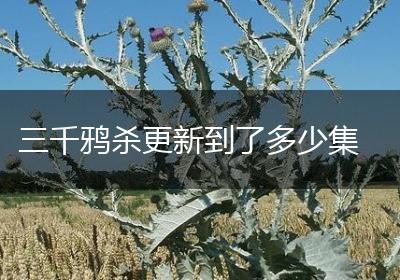 三千鸦杀更新到了多少集