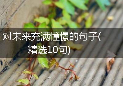 对未来充满憧憬的句子(精选10句)