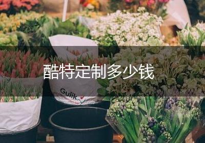 酷特定制多少钱