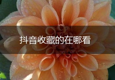 抖音收藏的在哪看