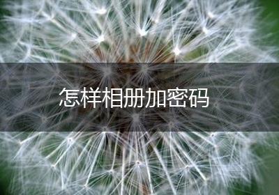 怎样相册加密码
