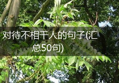 对待不相干人的句子(汇总50句)