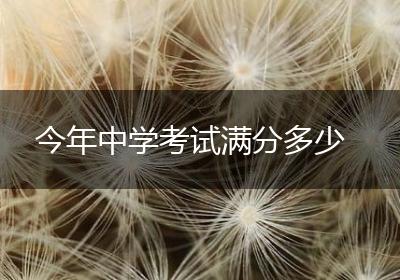 今年中学考试满分多少