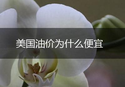 美国油价为什么便宜