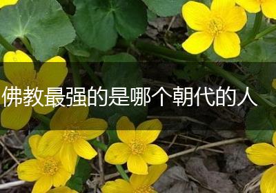 佛教最强的是哪个朝代的人