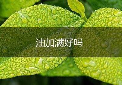 油加满好吗
