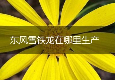 东风雪铁龙在哪里生产