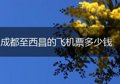 成都至西昌的飞机票多少钱