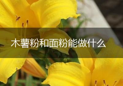木薯粉和面粉能做什么