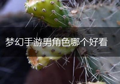梦幻手游男角色哪个好看