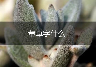 董卓字什么