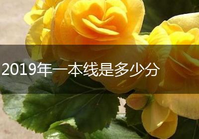 2019年一本线是多少分