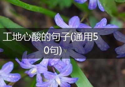 工地心酸的句子(通用50句)