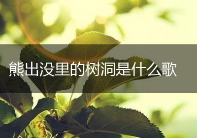熊出没里的树洞是什么歌