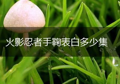 火影忍者手鞠表白多少集