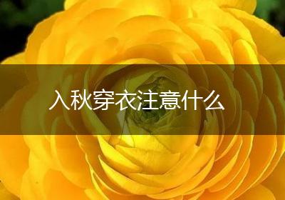 入秋穿衣注意什么