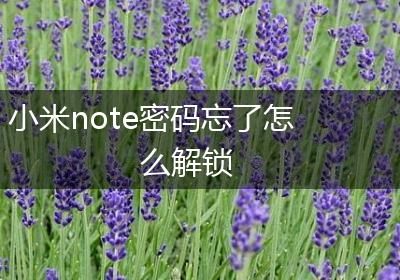 小米note密码忘了怎么解锁