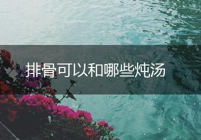 排骨可以和哪些炖汤