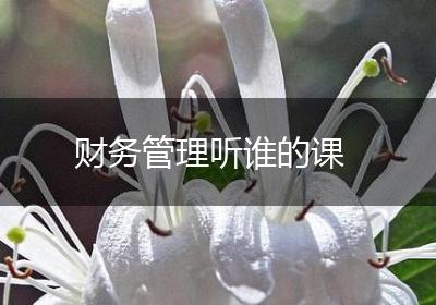 财务管理听谁的课