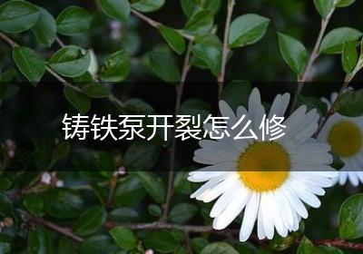 铸铁泵开裂怎么修