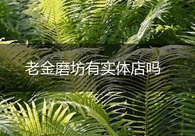 老金磨坊有实体店吗