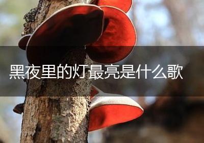 黑夜里的灯最亮是什么歌