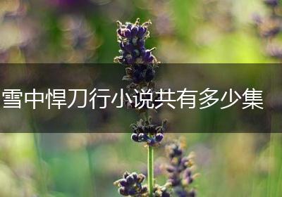 雪中悍刀行小说共有多少集