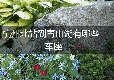 杭州北站到青山湖有哪些车座
