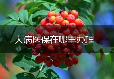 大病医保在哪里办理