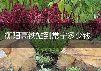 衡阳高铁站到常宁多少钱